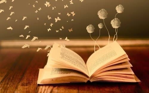 Seerah for the family in six months — a calm reading plan