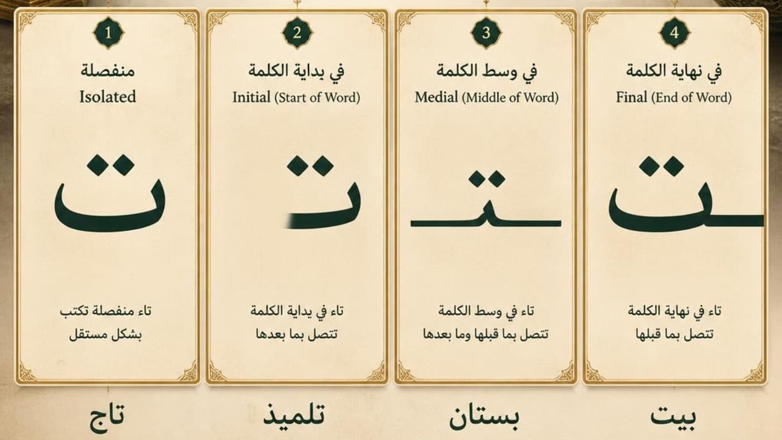 The four written forms of the Arabic letter Taa — isolated, initial, medial, and final — shown side by side
