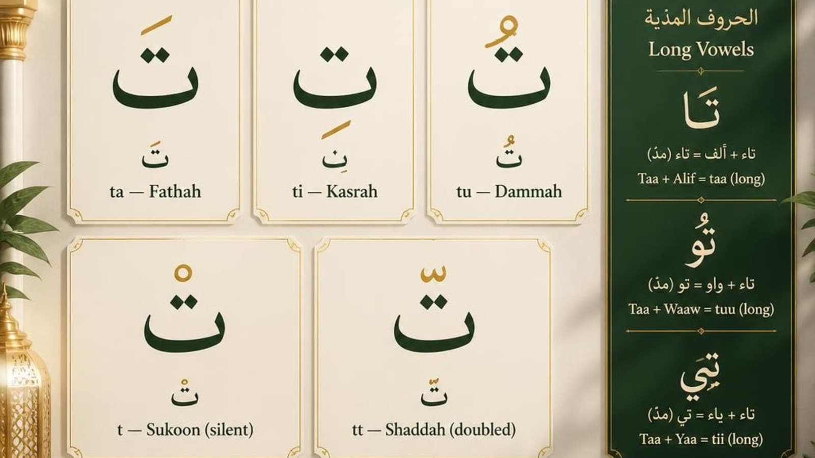 Vowel chart for the Arabic letter Taa showing Fathah, Kasrah, Dammah, Sukoon, Shaddah, and long vowel combinations