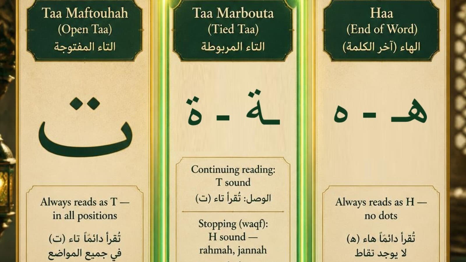 Comparison of Taa Maftouhah, Taa Marbouta, and Haa showing their shapes, dots, and pronunciation rules