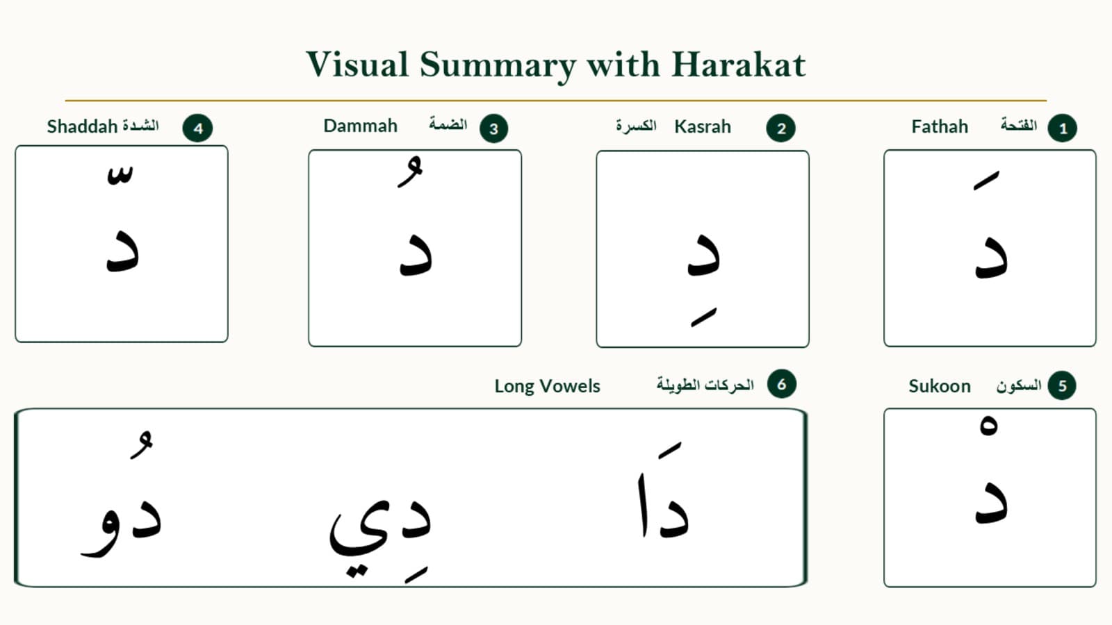 Vowel combination chart showing daal with fathah, kasrah, dammah, sukoon, shaddah, and long vowel extensions