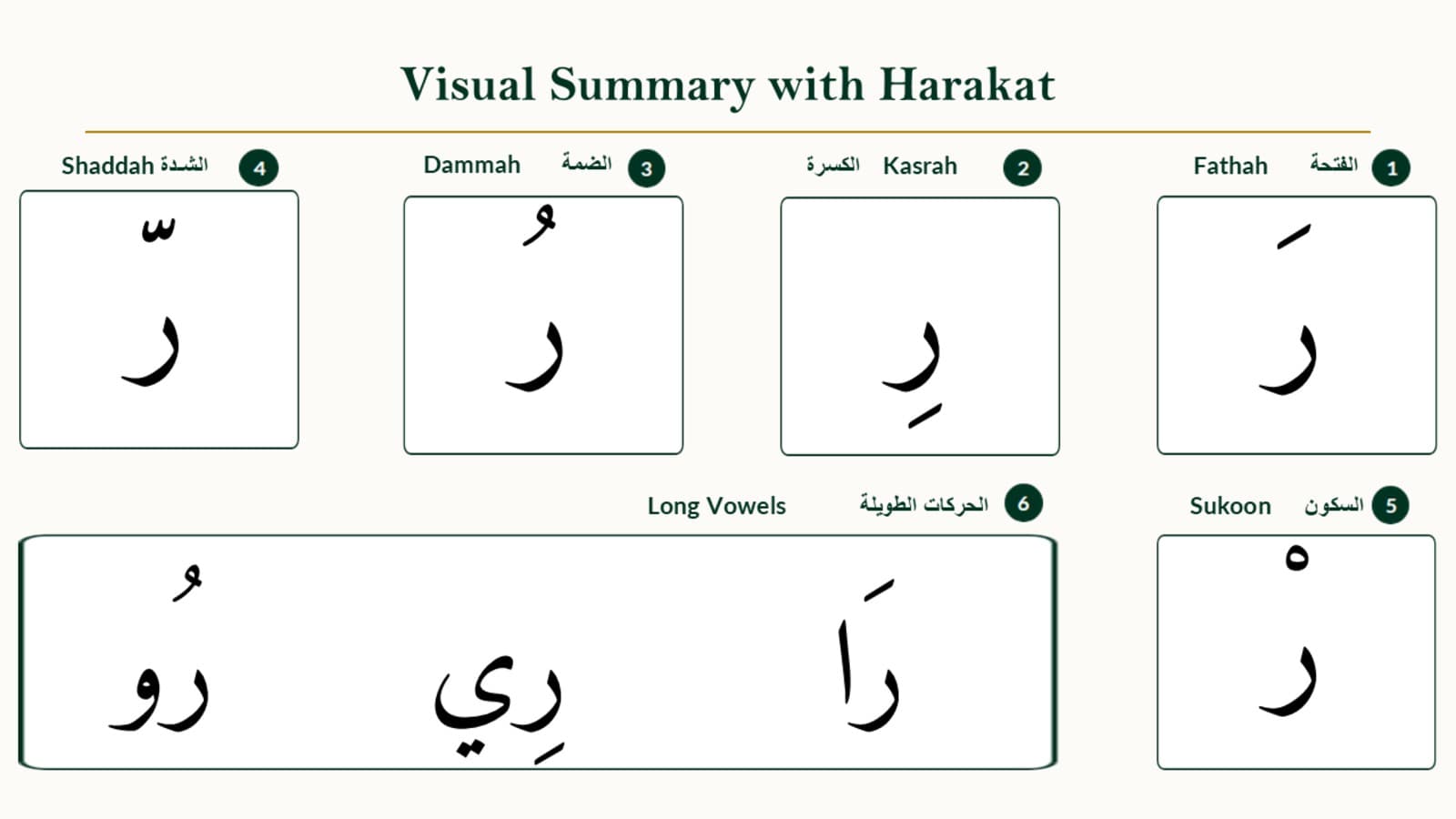 Vowel combination chart for the Arabic letter Raa showing fathah, kasrah, dammah, sukoon, and shaddah with their corresponding sounds