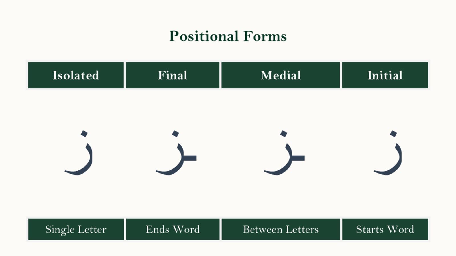 Stroke order diagram for writing the Arabic letter Zaay showing the downward curve and the placement of the single dot above the stroke