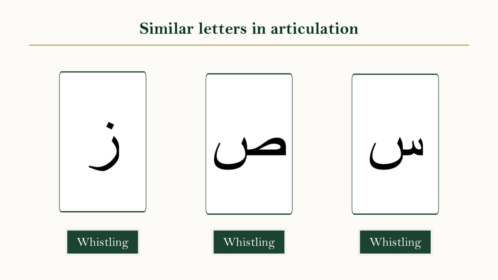 Side-by-side comparison panel of the Arabic letters seen, sheen, saad, and zaay showing their shape differences