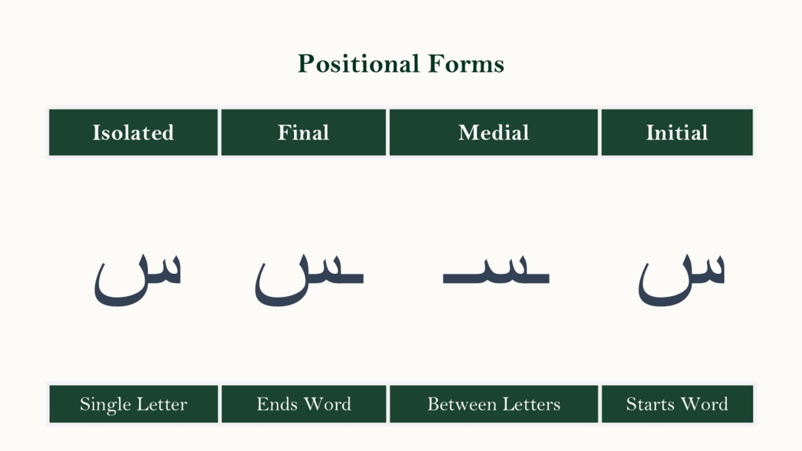 The four positional forms of the Arabic letter seen — isolated, initial, medial, and final