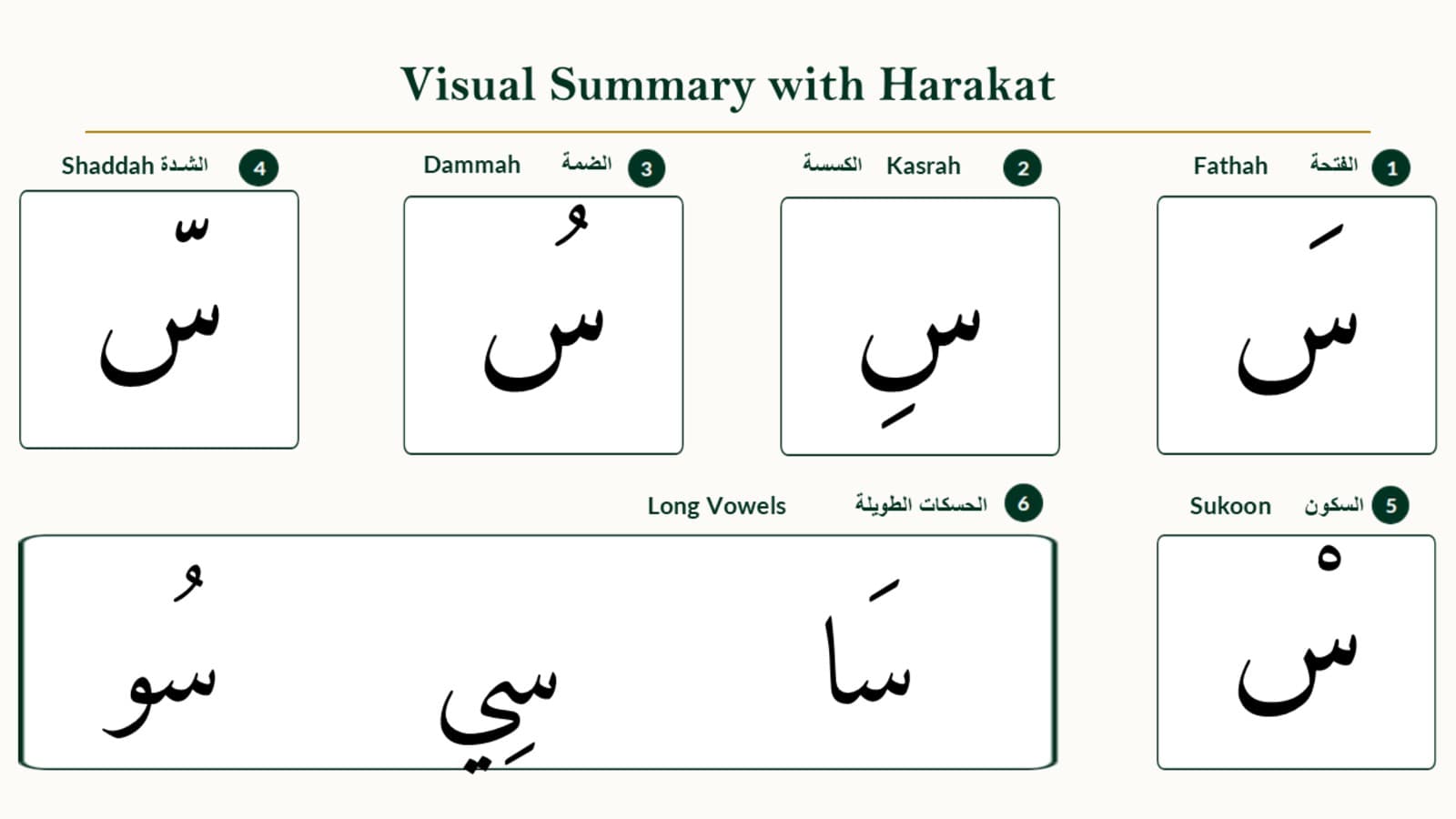 Comparison panel showing seen with fathah, kasrah, dammah, sukoon, and shaddah vowel marks