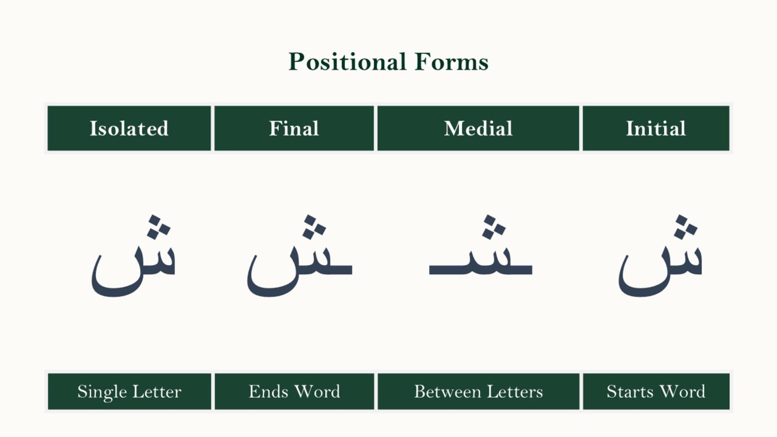 The four positional forms of the Arabic letter sheen — isolated, initial, medial, and final