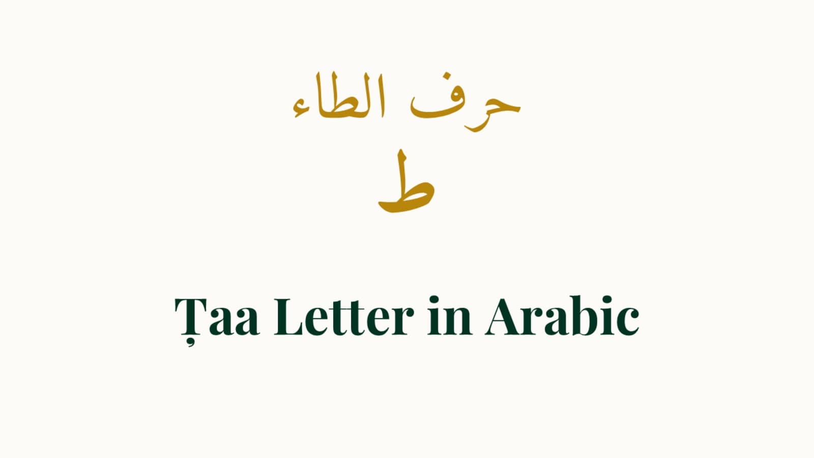 Meeting Taa (ط): Name, Position, and Why It Matters