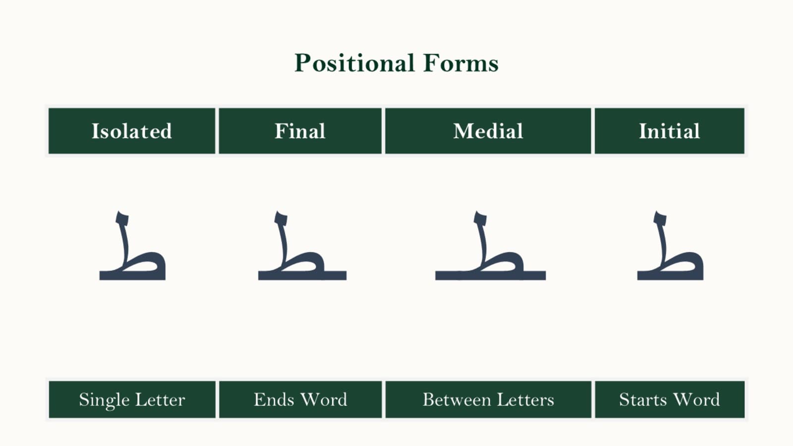 Chart showing the isolated, initial, medial, and final forms of the Arabic letter Taa