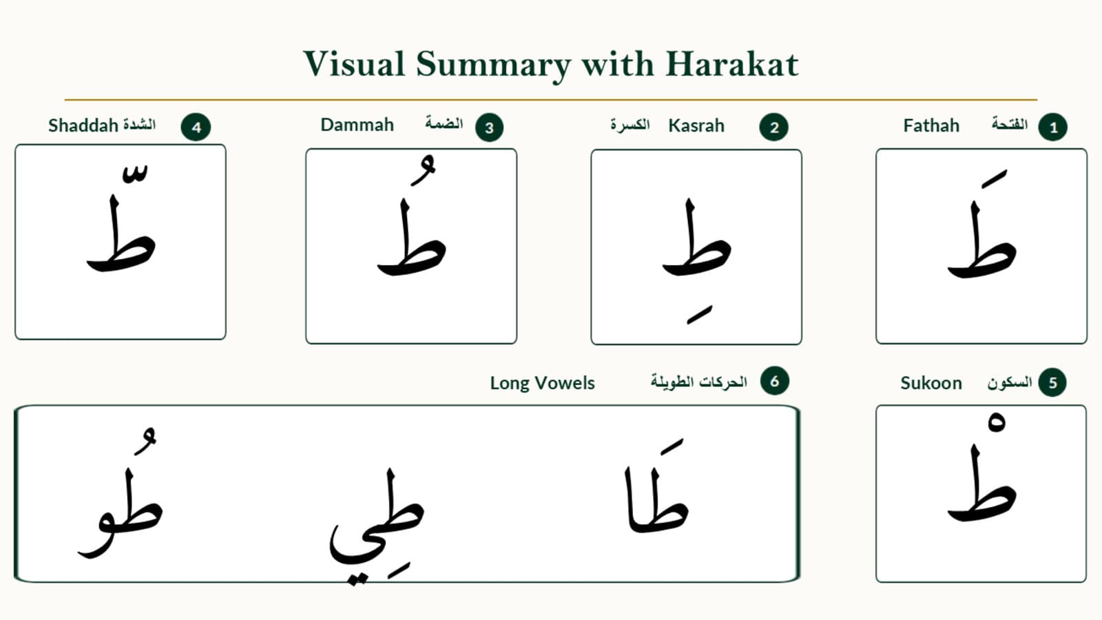 Taa (ط) With Vowels: Short Marks, Sukoon, Shaddah, and Long Vowels