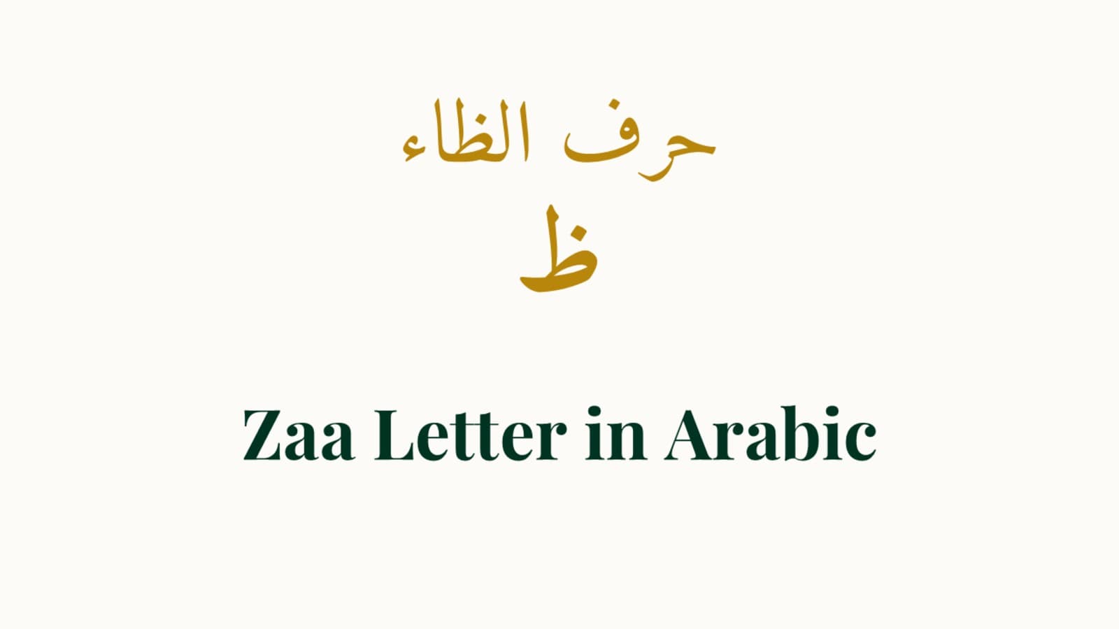 Meeting Zaa (ظ): Name, Position, and Why It Matters