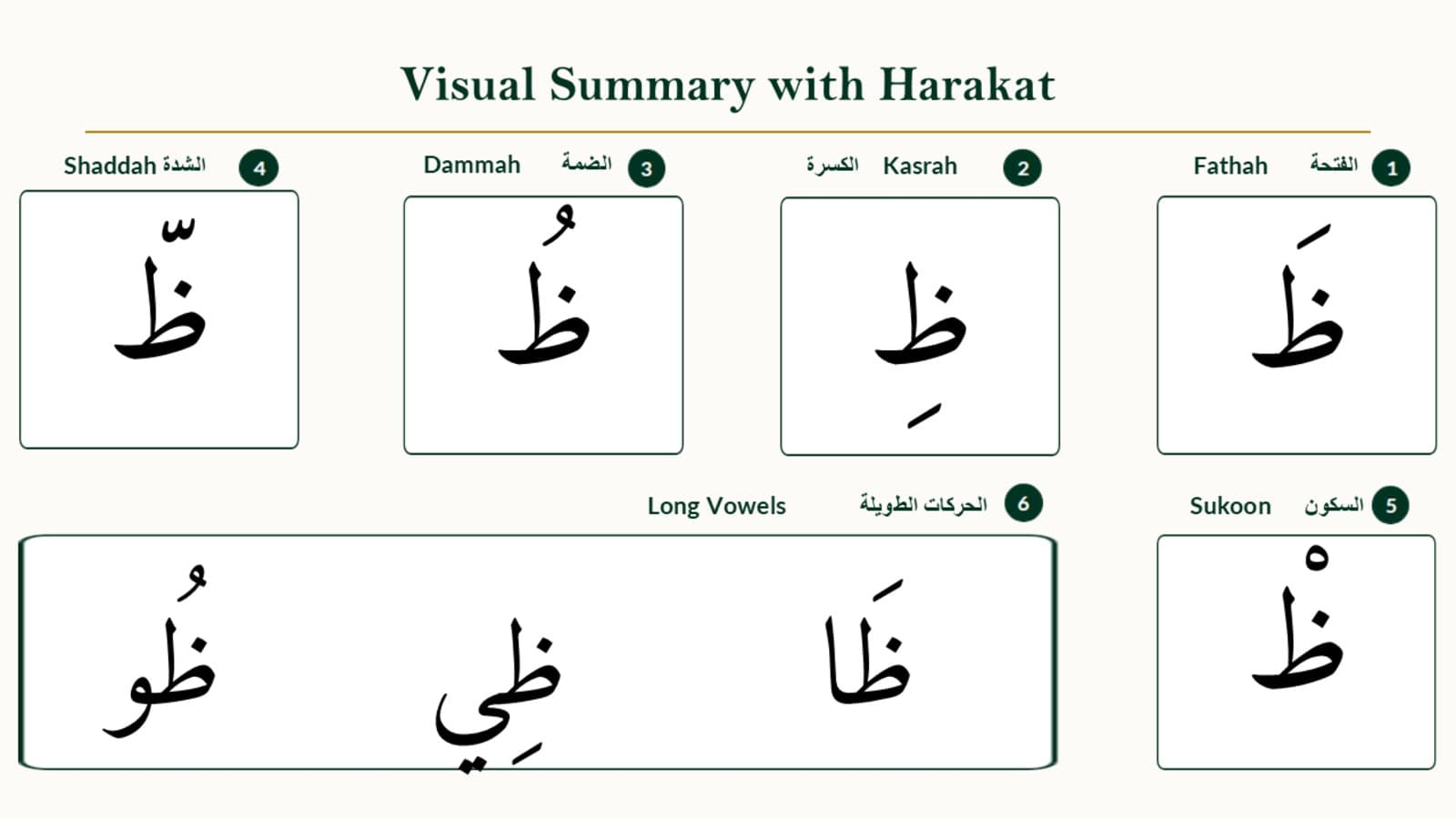Zaa (ظ) With Vowels: Short Marks, Sukoon, Shaddah, and Long Vowels
