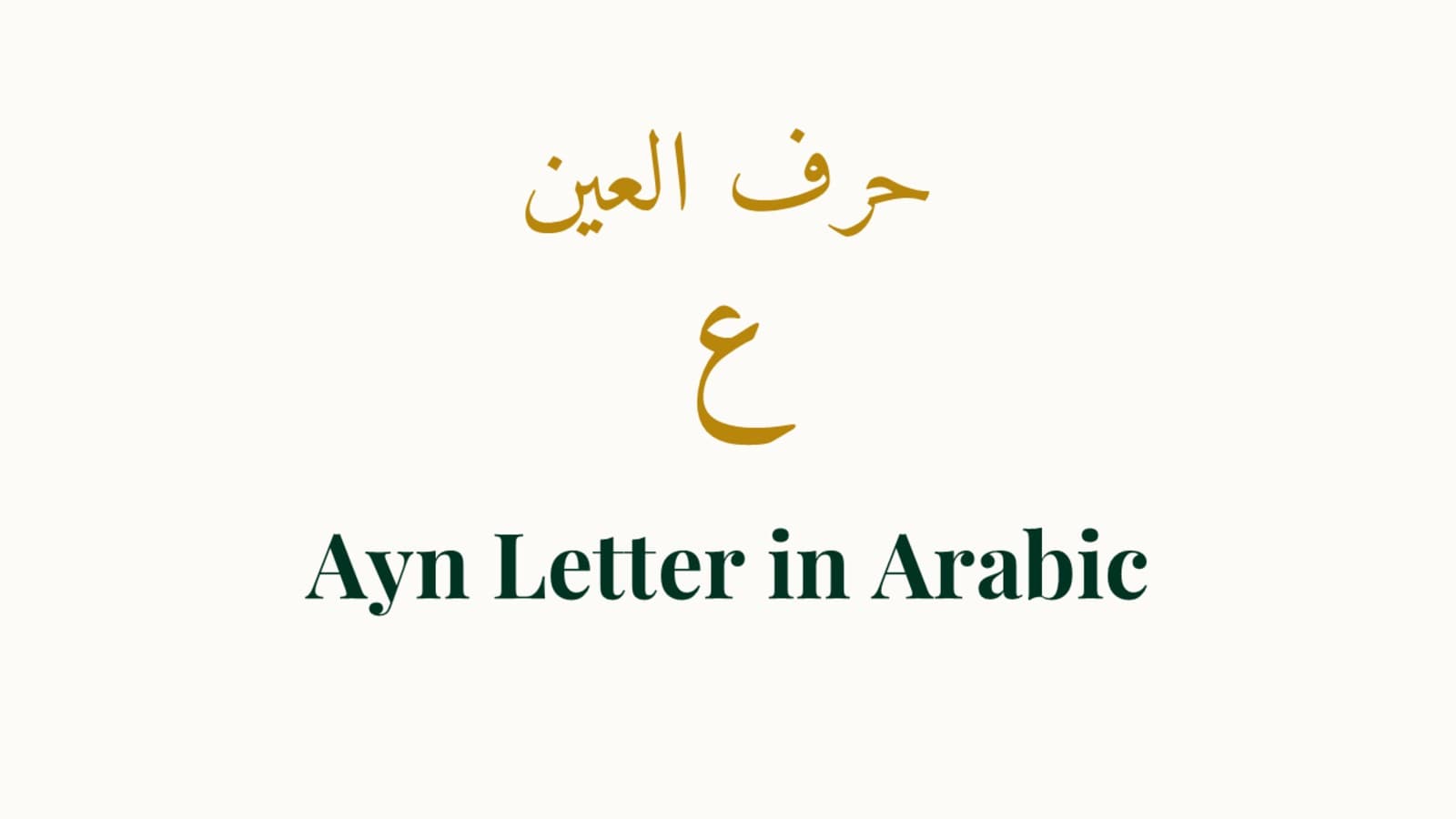 Meet Ayn: Identity and Importance