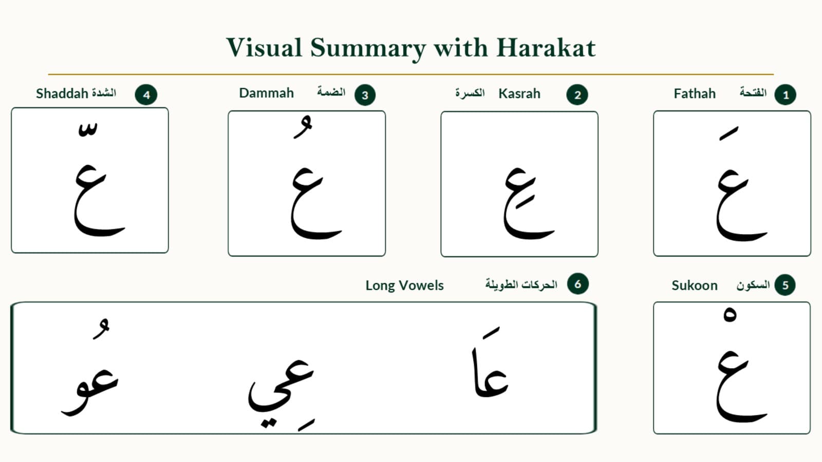 Ayn with Vowels and Vowel Length