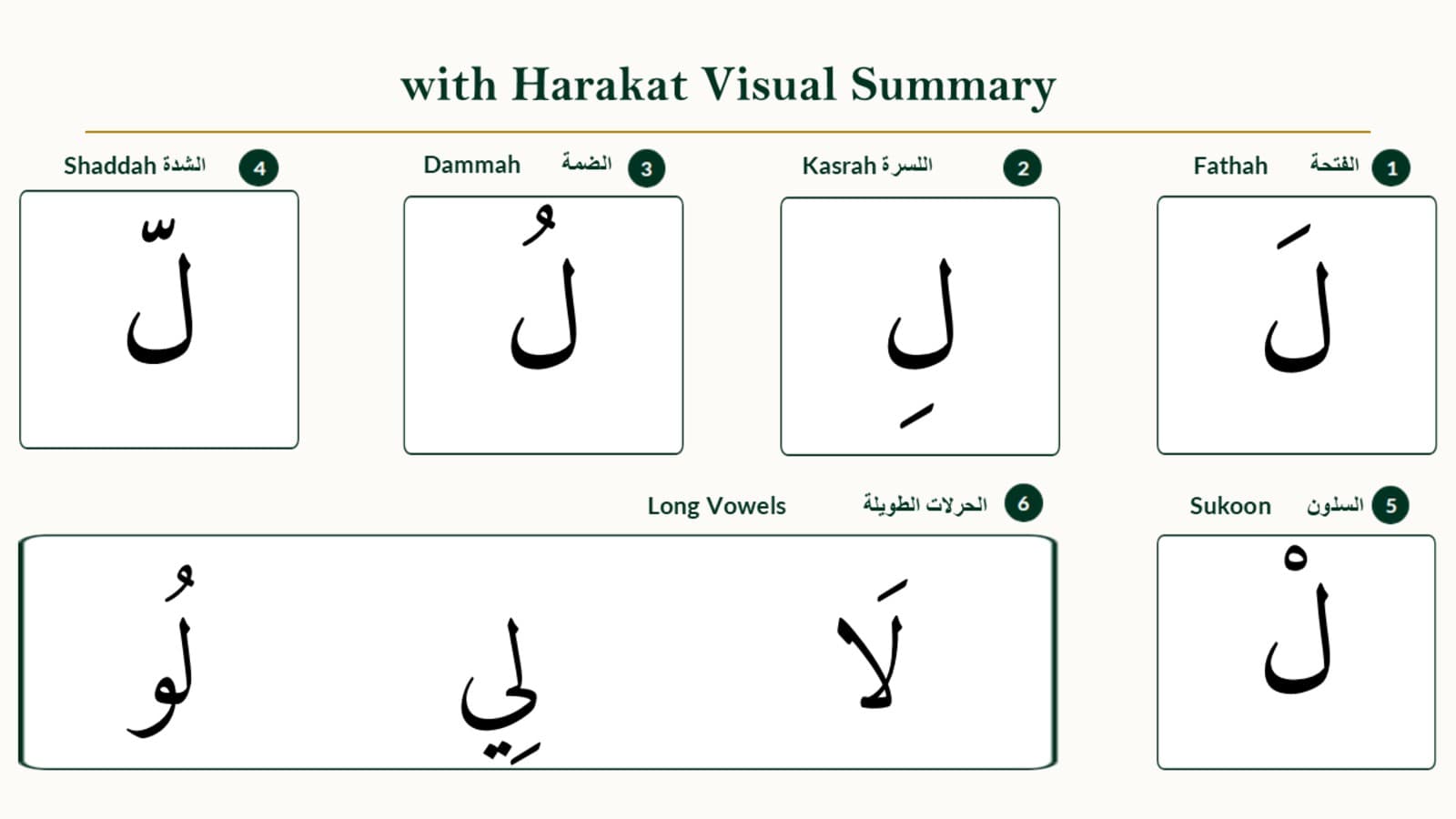 Reading Laam with Vowels, Sukoon, and Shaddah