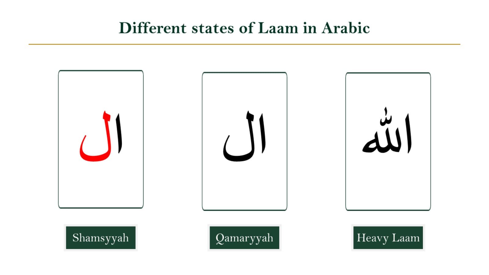 Tajweed Rules for Laam: Lam Jalalah and Lam Shamsiyyah/Qamariyyah