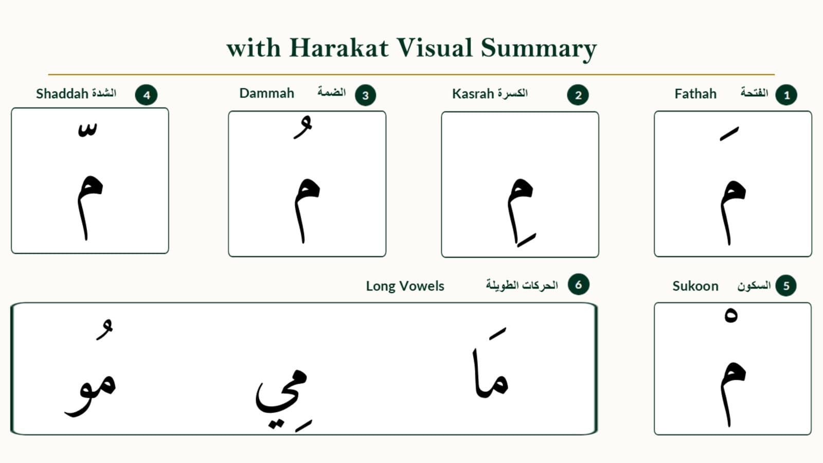 Reading Meem with Vowels, Sukoon, and Shaddah
