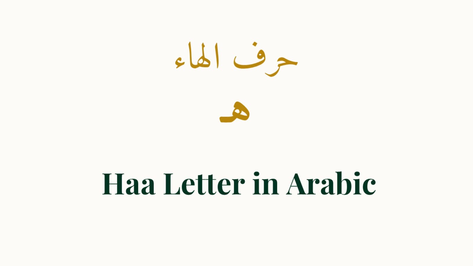 Meet the Letter: Identity, Name, and Sound