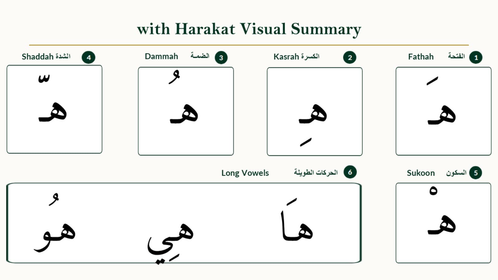 Haa with Vowels, Sukoon, and Shaddah