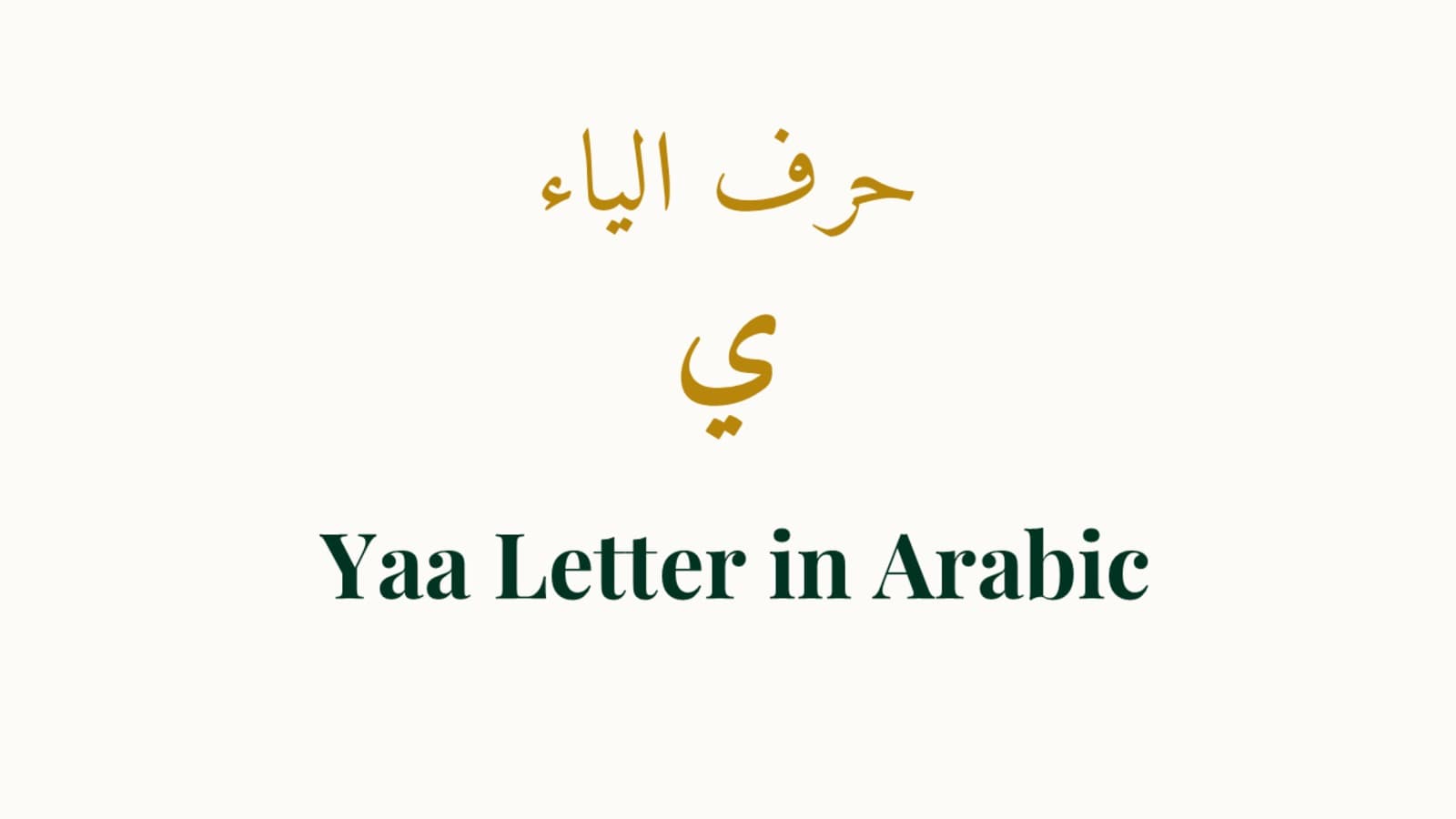 Meet the Letter: Identity, Name, and Sound